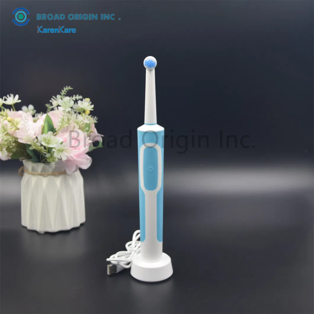 BSCI Approved Personalized Sonic Electric Toothbrush with 2PCS Toothbrush Head Electric Toothbrush Motor Electric