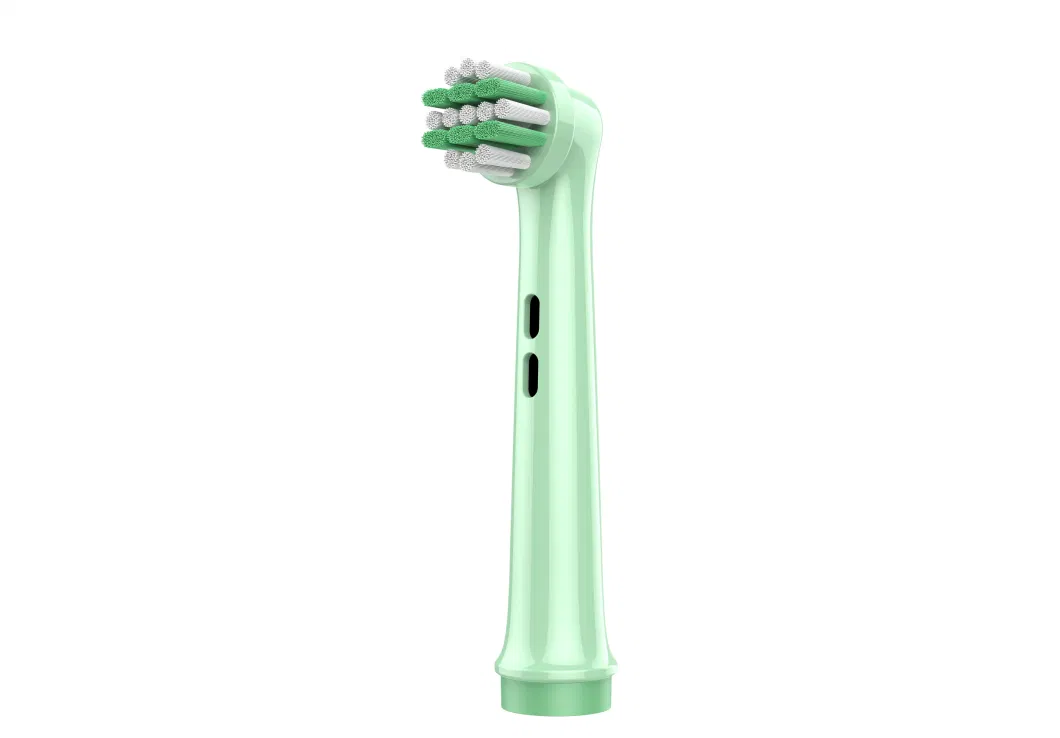 Electric Toothbrush Head for Replacement