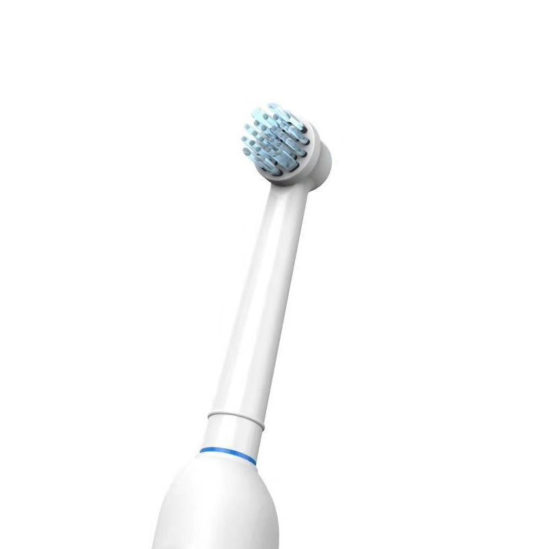 Stock 3000PCS EXW Cheap Price High Quality Rechargeable Rotate Sonic Electric Toothbrush Round Head