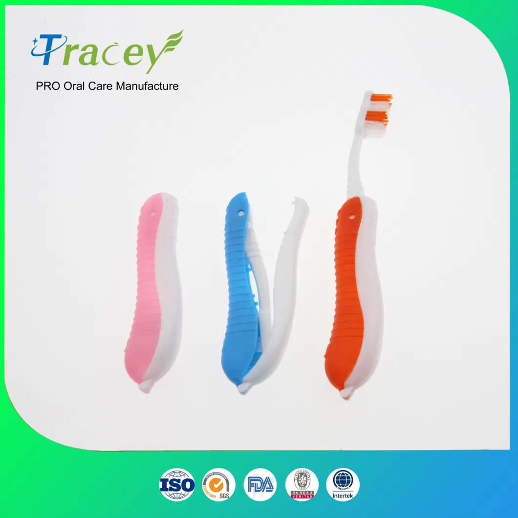 Customize Brand High Quality Professional Kids and Adult Toothbrush OEM Manufacturer