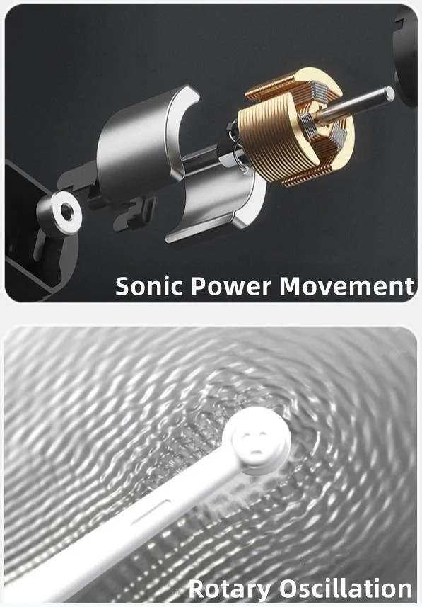 Inductive Charging Six Cleaning Modes Oscillating/Rotating Electric Tooth Brush