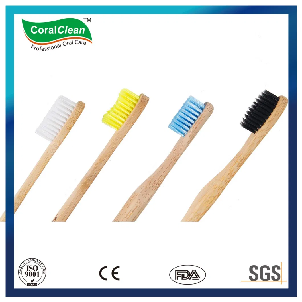 Wholesale Natural Bamboo Toothbrush, Bamboo Charcoal Toothbrush Manufacturer