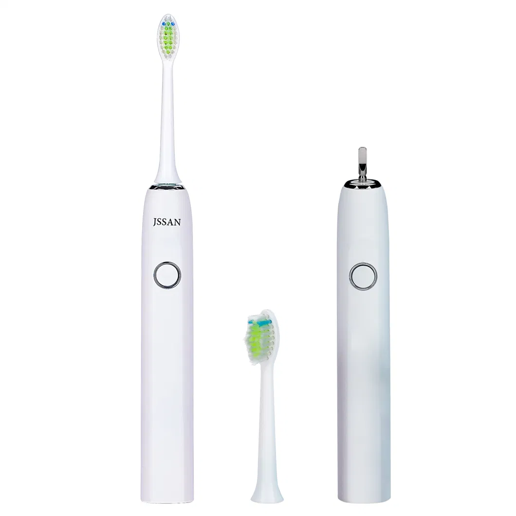 Best Wholesale DuPont Bristle Lithium Battery Power White Adult Electric Toothbrush with 2 Replacement Heads