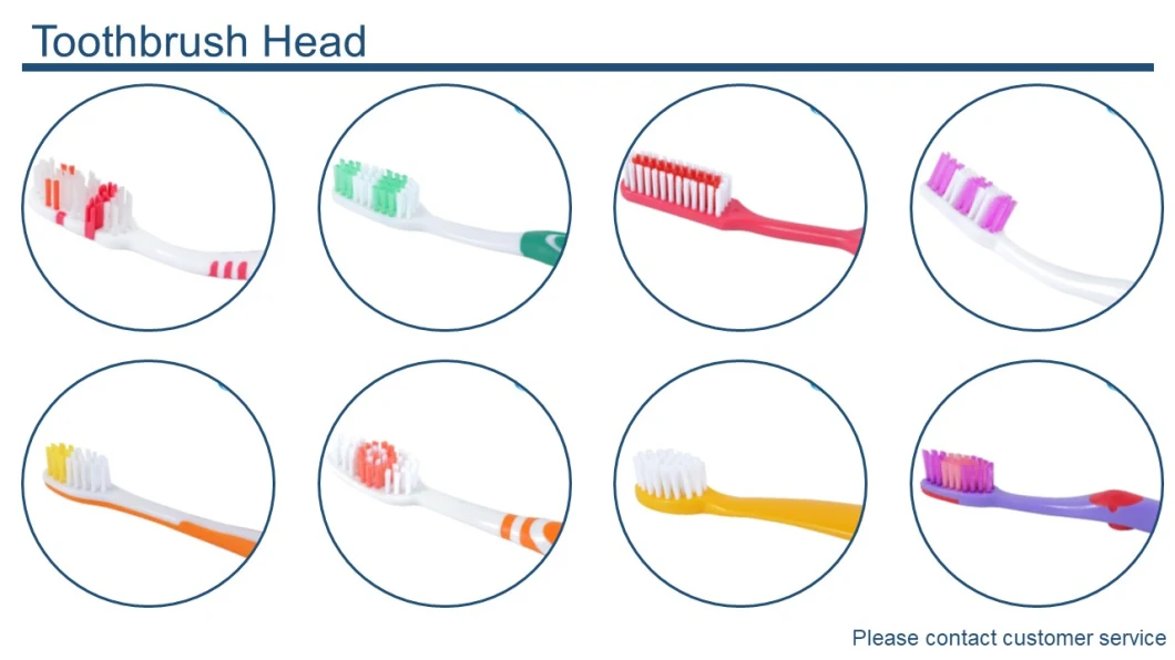 ISO FDA Approval Supplier for Denture Toothbrush Logo Print Available