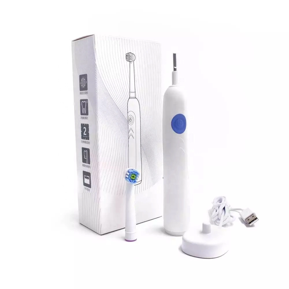 Stock 3000PCS EXW Cheap Price High Quality Rechargeable Rotate Sonic Electric Toothbrush Round Head