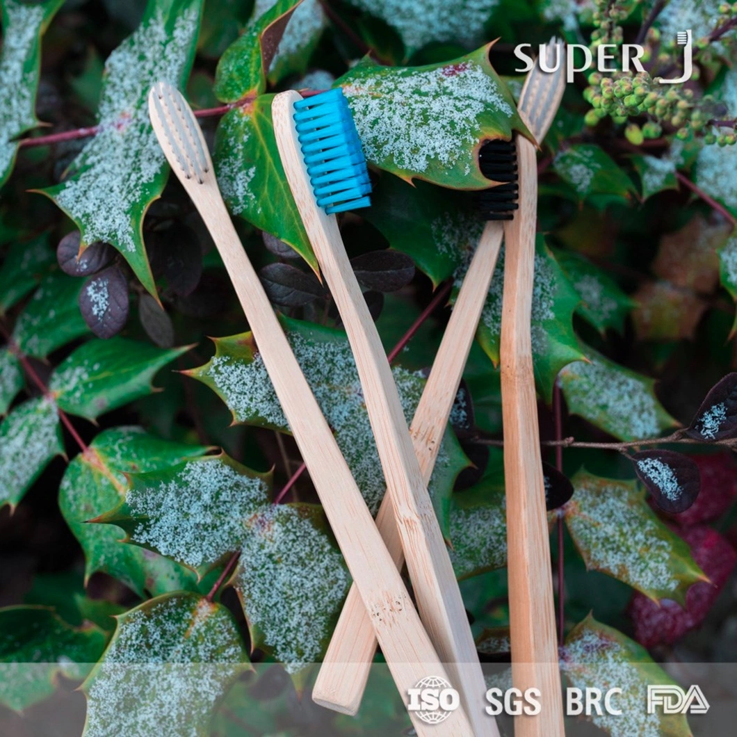 Wholesale Price Custom Private Logo Label 100% Natural Organic Degradable Eco Bamboo Toothbrush