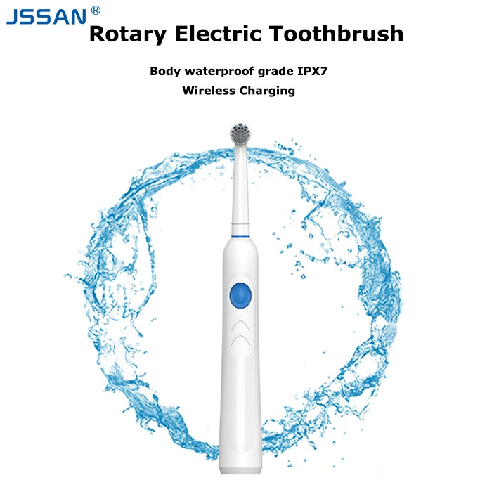 Stock 3000PCS EXW Cheap Price High Quality Rechargeable Rotate Sonic Electric Toothbrush Round Head