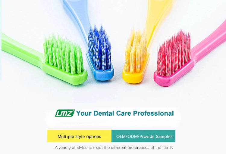 OEM Logo High Quality Hard Bristle Deep Cleaning Double Sided Elderly Denture Toothbrush