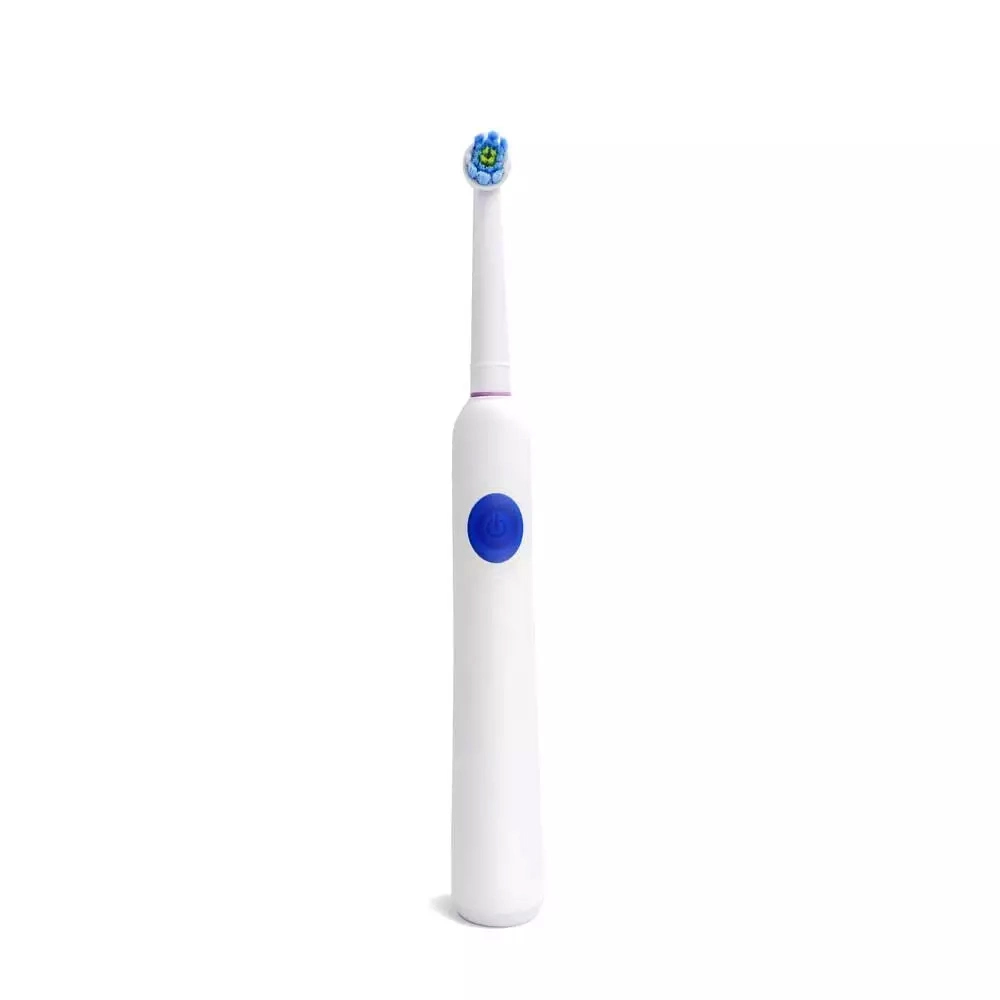 Stock 3000PCS EXW Cheap Price High Quality Rechargeable Rotate Sonic Electric Toothbrush Round Head