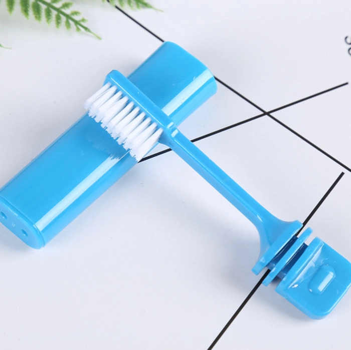 Hotel and Travel Toothbrush/Dental Kit/Transparent Folding Toothbrush/Disposable Toothbrush