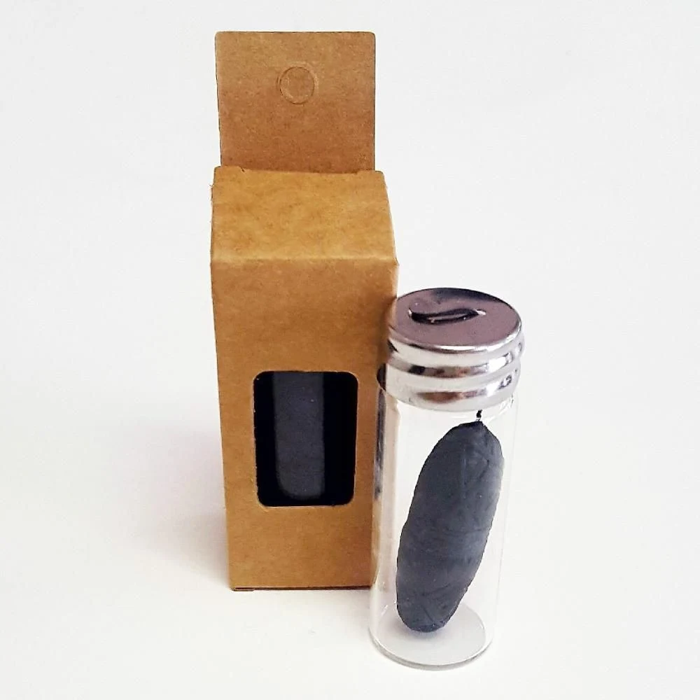 Glass Bottle Biodegradable Bamboo Charcoal Vegan Dental Floss