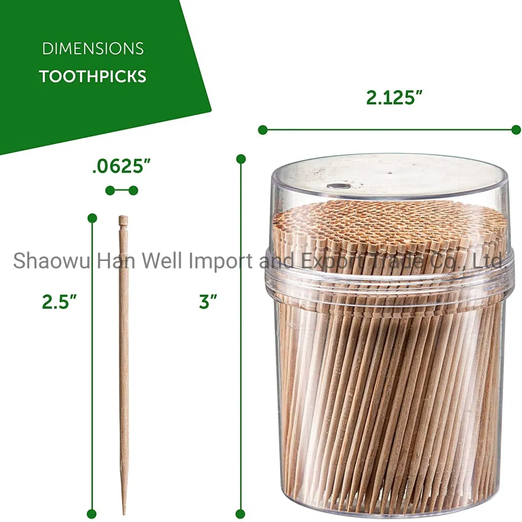 Easy-Using Healthy Natural Wood Toothpicks to Clean Teeth