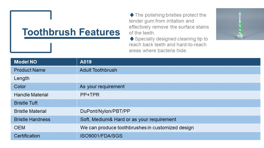 Professional Supplier OEM Adult Toothbrush