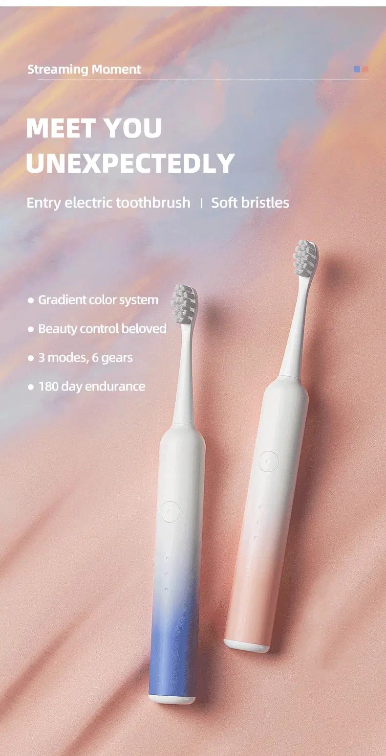 Wholesale Power Brush: Sonic Electric Toothbrush Set for Effective Cleaning