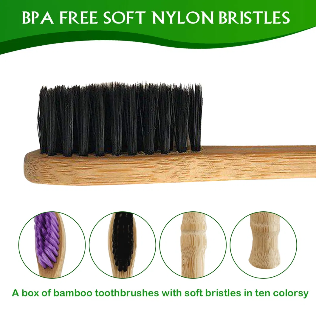 Professional Eco-Friendly Bamboo Toothbrush Impact for Teeth Whitening