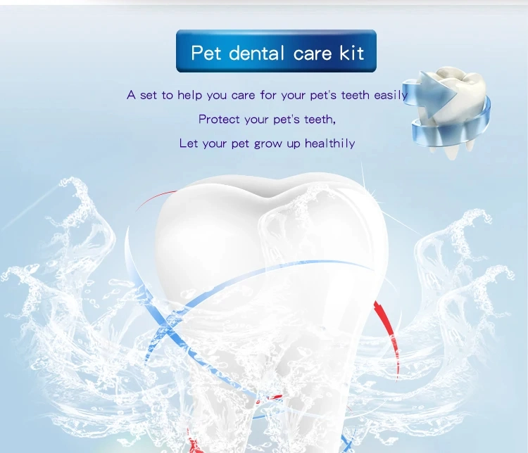 Factory Wholesale 4 in 1 Dog Dental Care Dog Finger Toothbrush Pet Cat Dog Toothbrush and Toothpaste Set