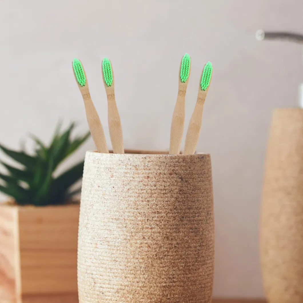 Biodegradable Eco-Friendly Natural Bamboo Handle Charcoal Bristle Toothbrush