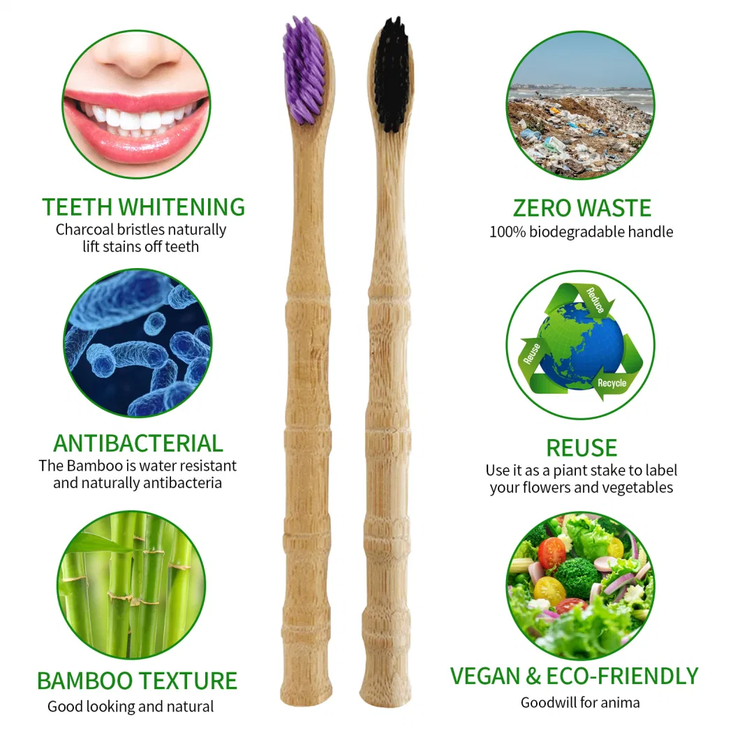Professional Eco-Friendly Bamboo Toothbrush Impact for Teeth Whitening