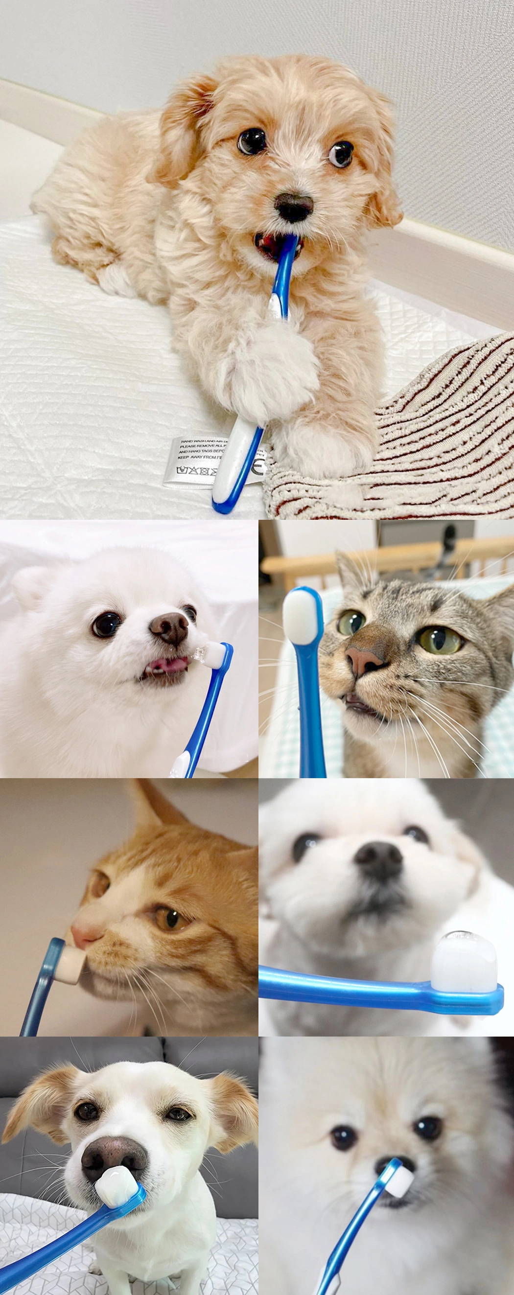 OEM Extra Soft Bristle Small Head Dog Cat Pet Toothbrush