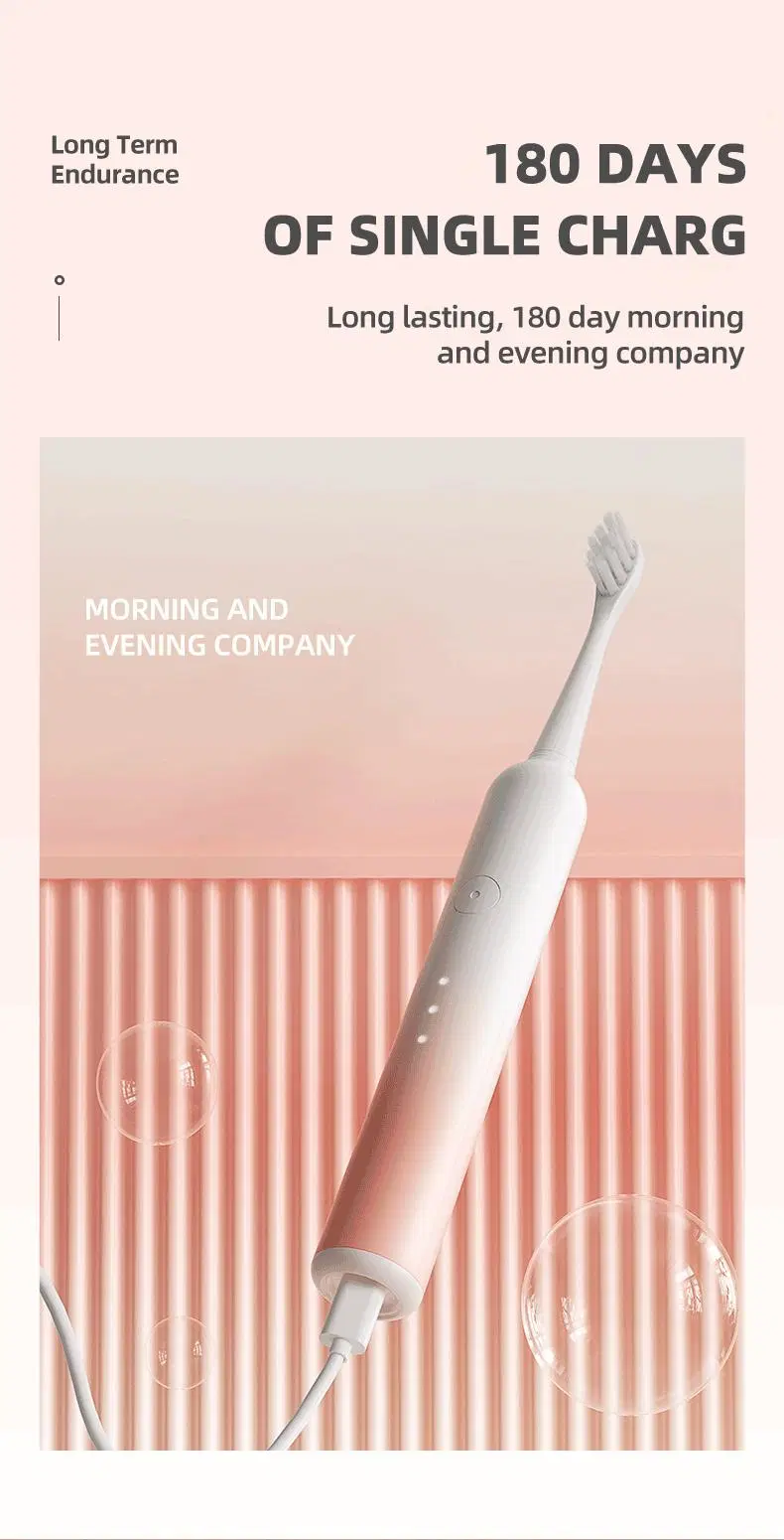 Wholesale Power Brush: Sonic Electric Toothbrush Set for Effective Cleaning