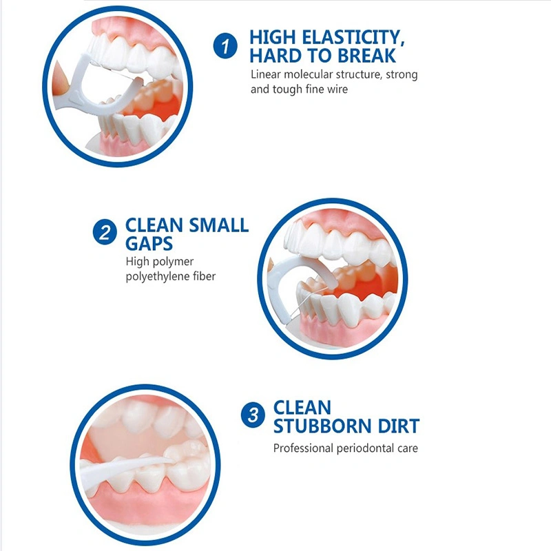 Biodegradable Dental Flosser Floss Toothpick Factory