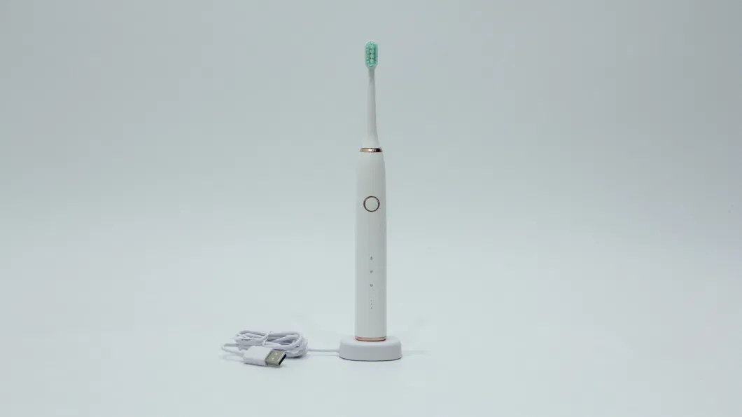 Rechargeable Sonic Electric Toothbrush 3 Mode Js309