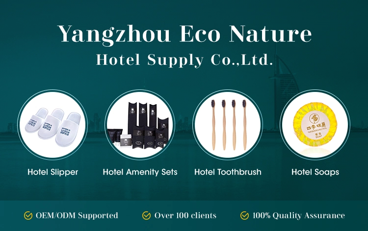 Environmentally Friendly Transparent Handle Disposable Hotel Toothbrush