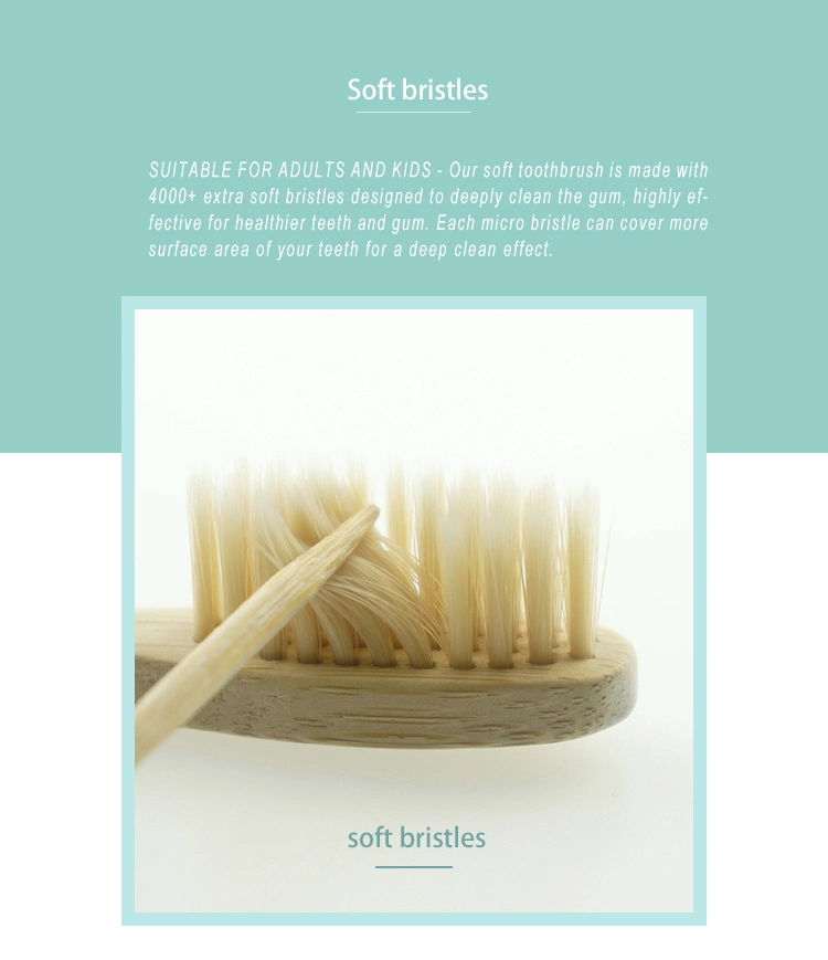 Eco-Friendly Bamboo Toothbrush Biodegradable Bristles Organic Natural Charcoal Infused Bamboo