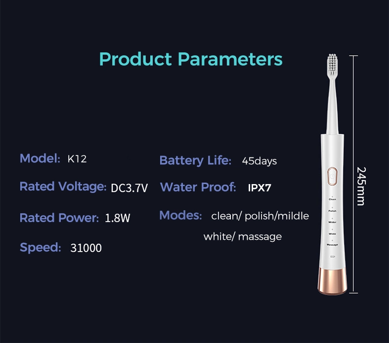 Rechargeable Tooth Brushes Waterproof Electronic Brushes Advanced Cheap