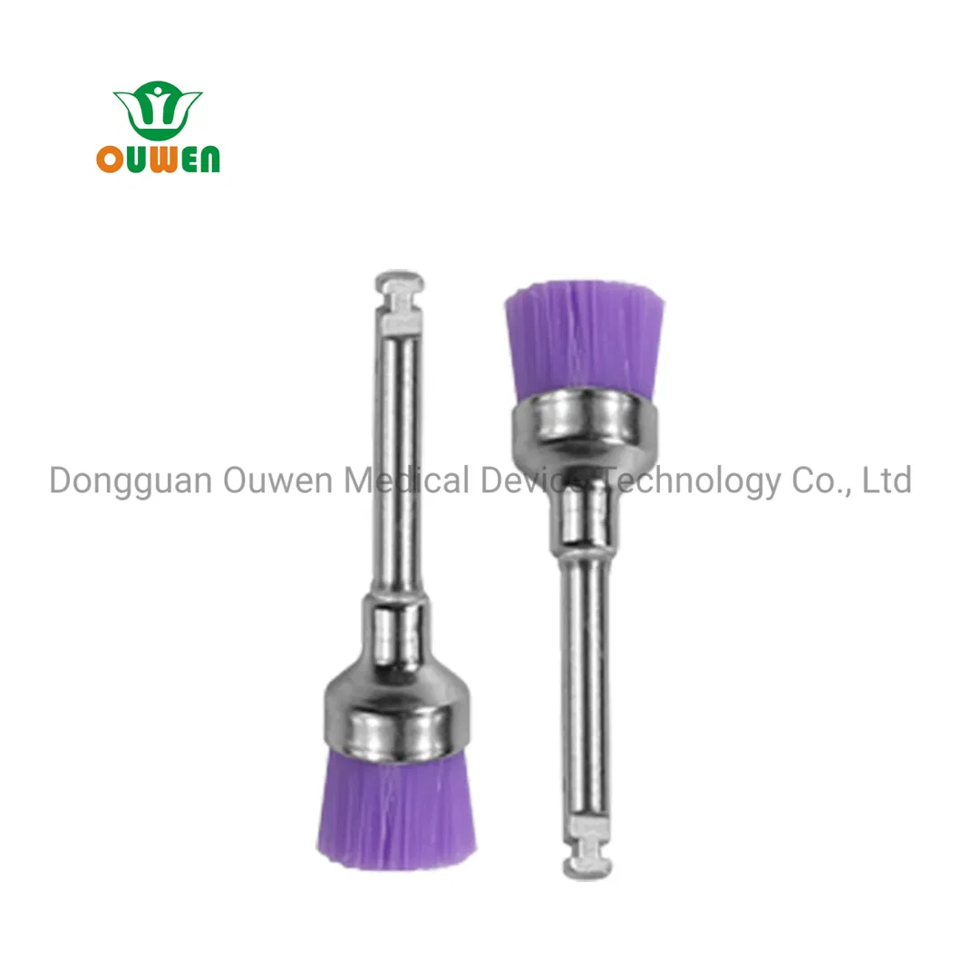 ISO13485 CE FDA Dental Disposable Prophy Cup Brush Polishinig Cup Brush