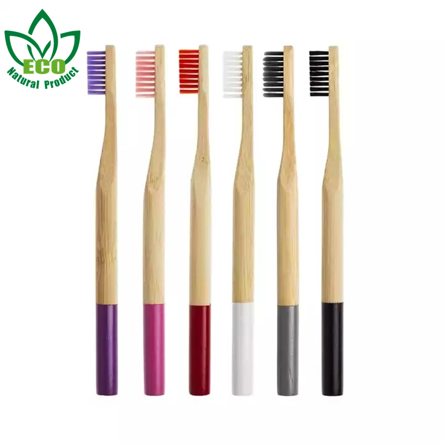 Factory Compostable and Biodegradable Organic Ecological Naturally Toothbrushes Oral Clean Brushes