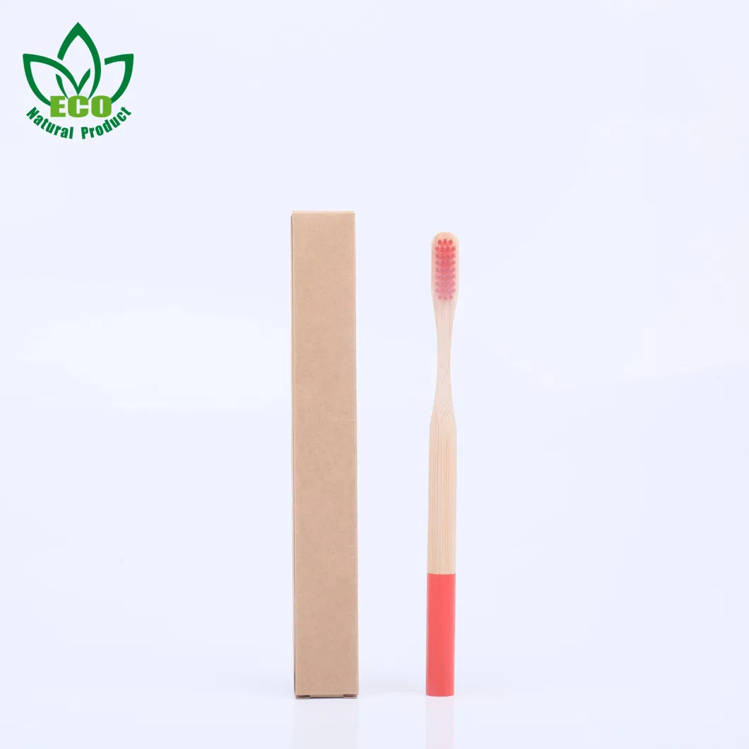 Custom Charcoal Round Handle Colorful Unique Wholesale Bamboo Toothbrush with Bamboo Bristles