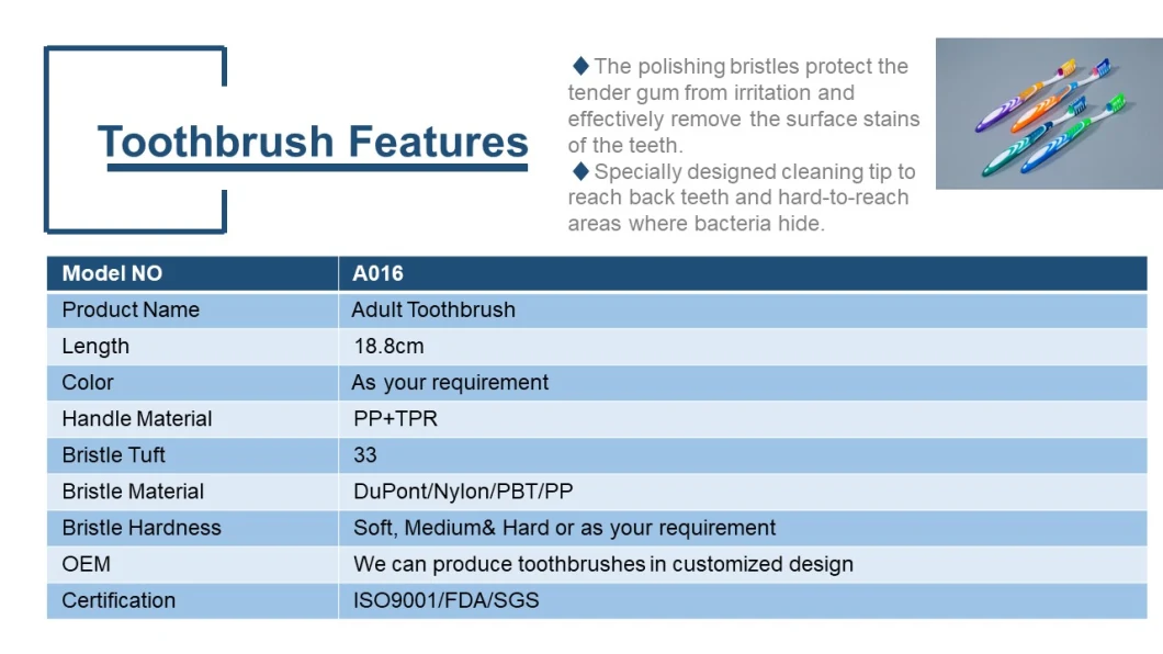 FDA ISO Approval Plastic Manufacturer PP+TPR Toothbrush Custom Logo