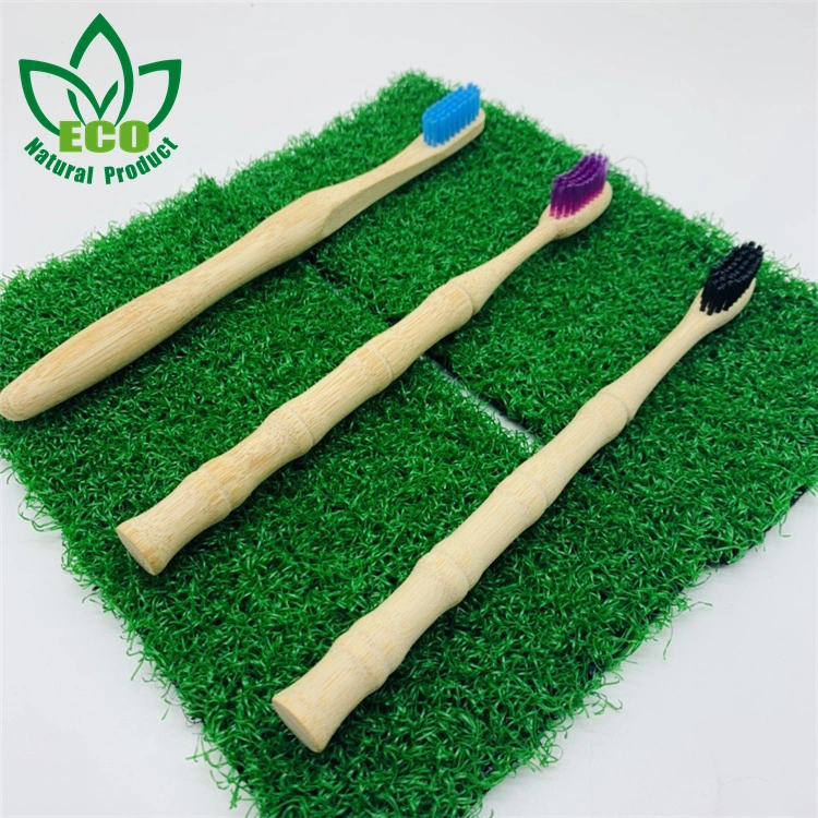 Soft Nylon Bristles Cleaning Toothbrush Private Label Adult Disposable Battery Powered