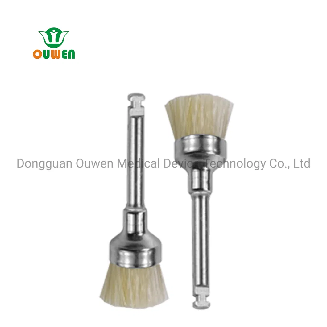 ISO13485 CE FDA Dental Disposable Prophy Cup Brush Polishinig Cup Brush