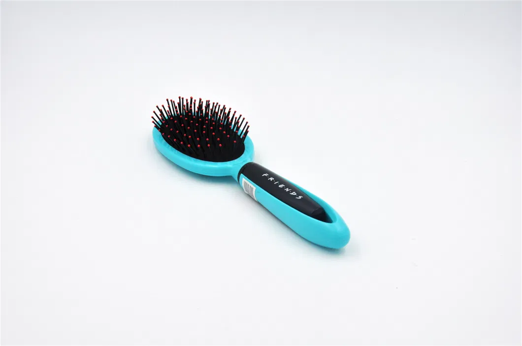 UV Printing Customer Logo Professional Cushion Hair Brush Packing with Cdu