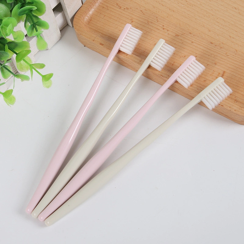 Japanese Imprinted Macaron 10 Toothbrushes with Adult Soft Bristles