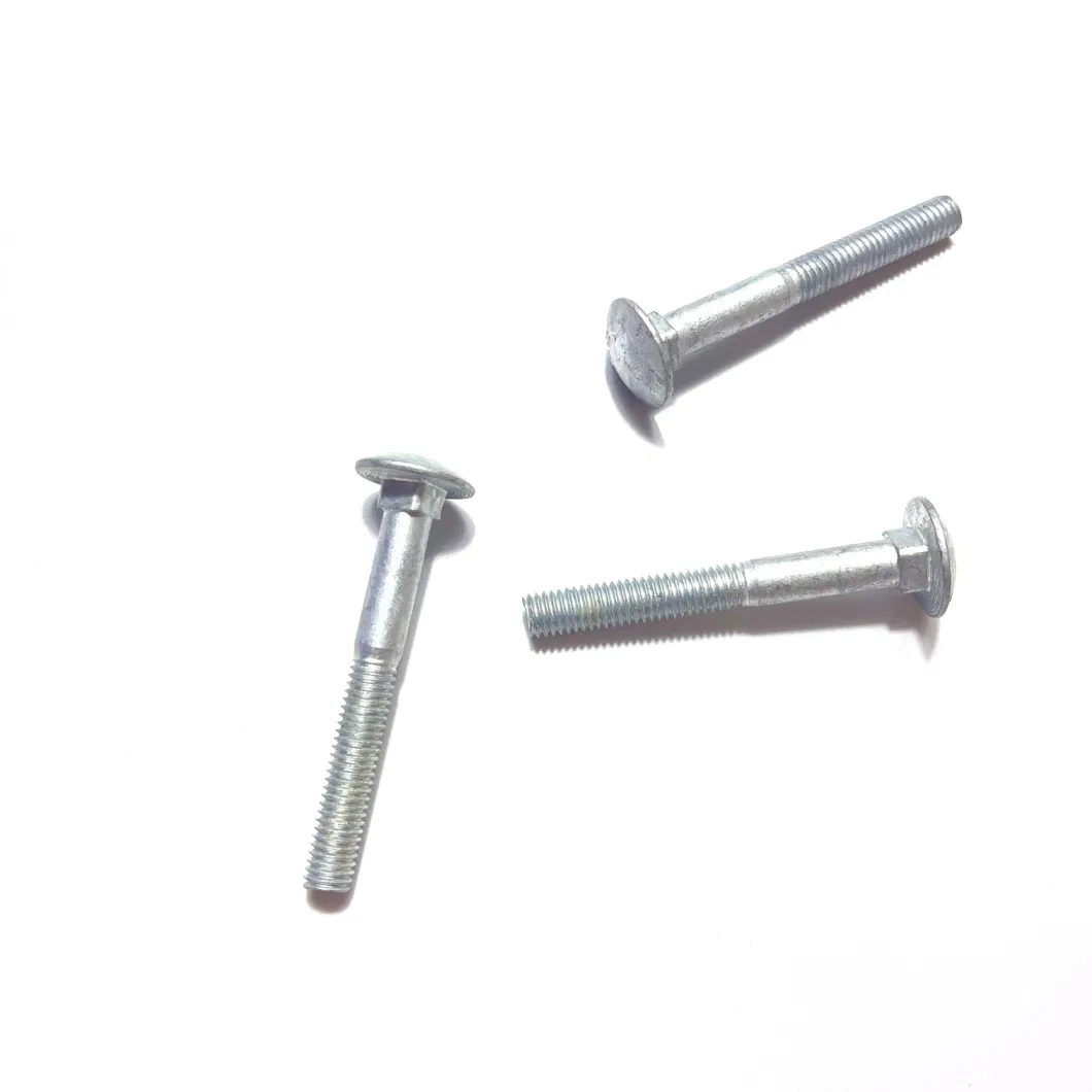 Carbon Steel Hot DIP Galvanized DIN603 Carriage Bolt Full Thread 6g /6h