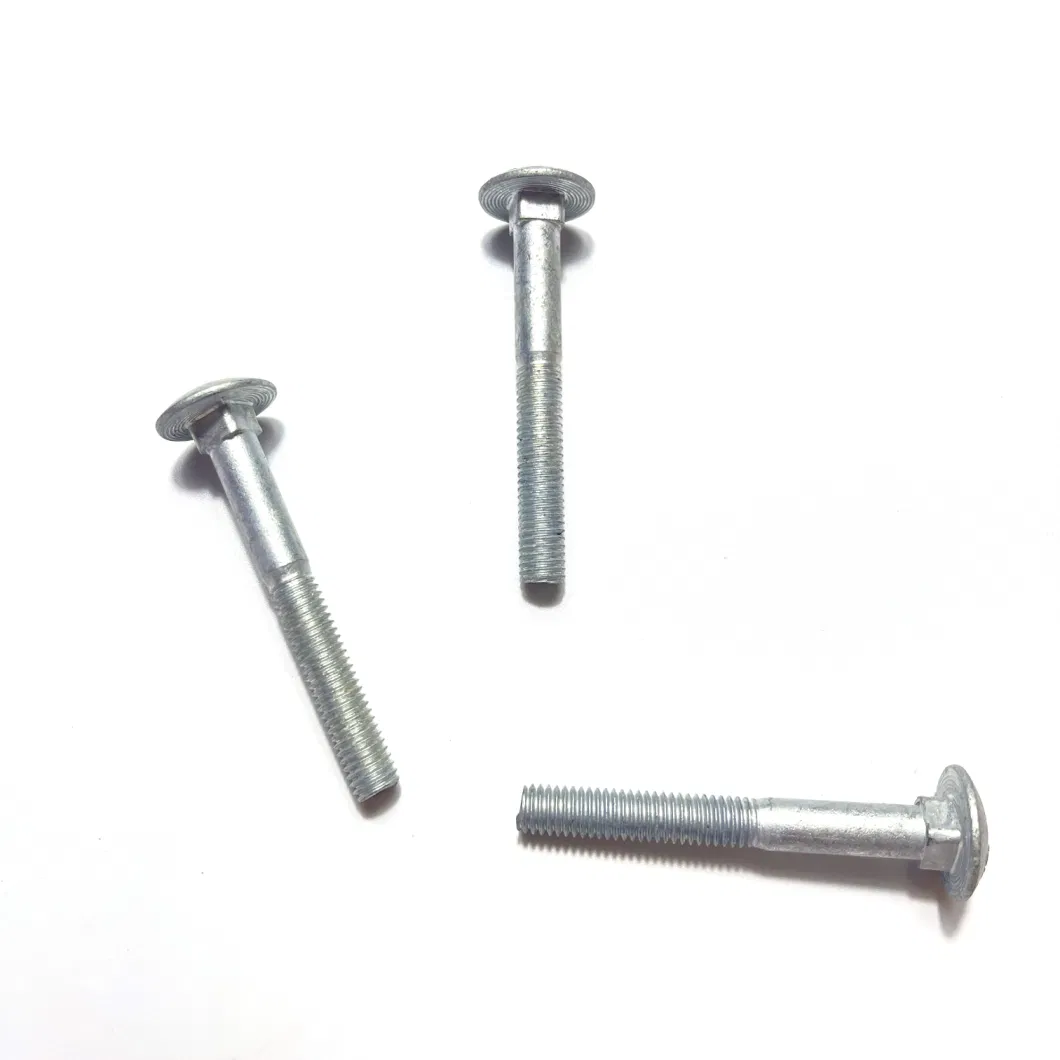 Carbon Steel Hot DIP Galvanized DIN603 Carriage Bolt Full Thread 6g /6h