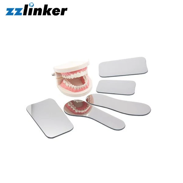 LK-S31C Orthodontic Brush Disposable Interdental Dental Proxa Bamboo Toothpicks Brush