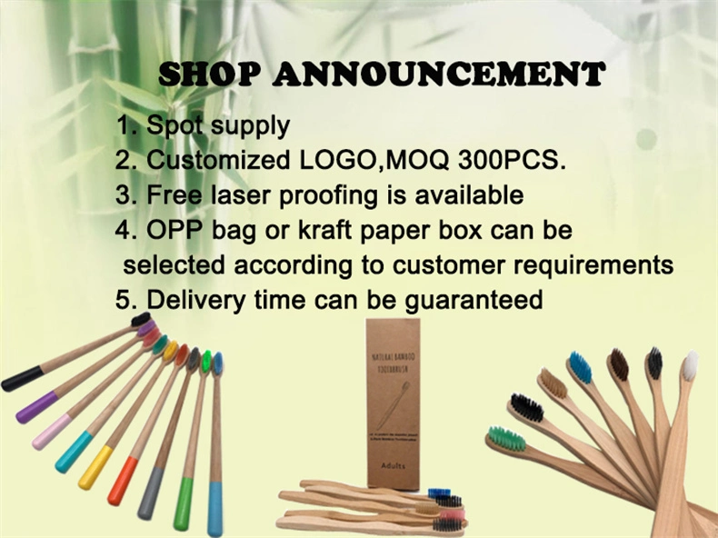 Wholesale 100% Natural Biodegradable Eco Friendly Wooden Soft Bamboo Toothbrush