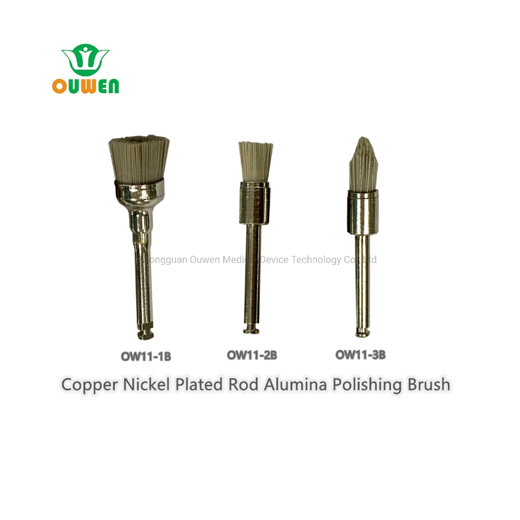 Ouwen Production Dentist Tool Teeth Polisher Prophy Polishing Alumina Brush