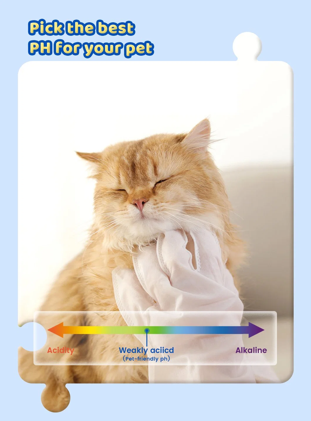 Pet Glove Wipes for Dogs and Cats: Anti-Bacterial, Deodorizing, Non-Washable