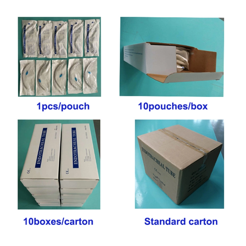 Disposable PVC Tracheostomy Tube Anatomy