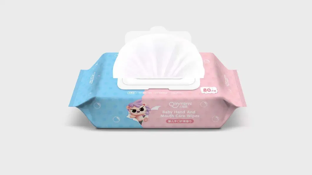 OEM Services Eco-Friendly Cleaning Wet Wipes Dry Baby Wipes Organic