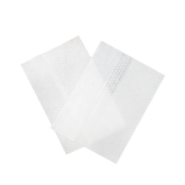 Nonwoven Fabric Wet Towel Wipes Clean Hands Hot Sales Washable Wipes with Cover