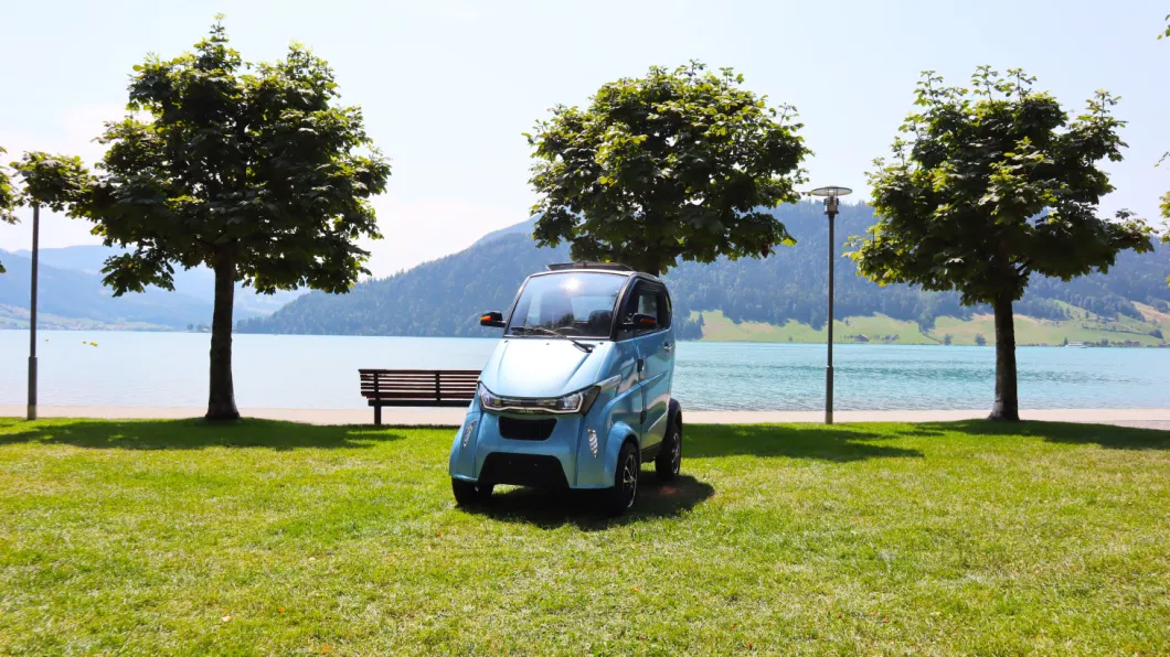 60V3000W Motor 2 Seater Police Electric Car with Lithium Battery