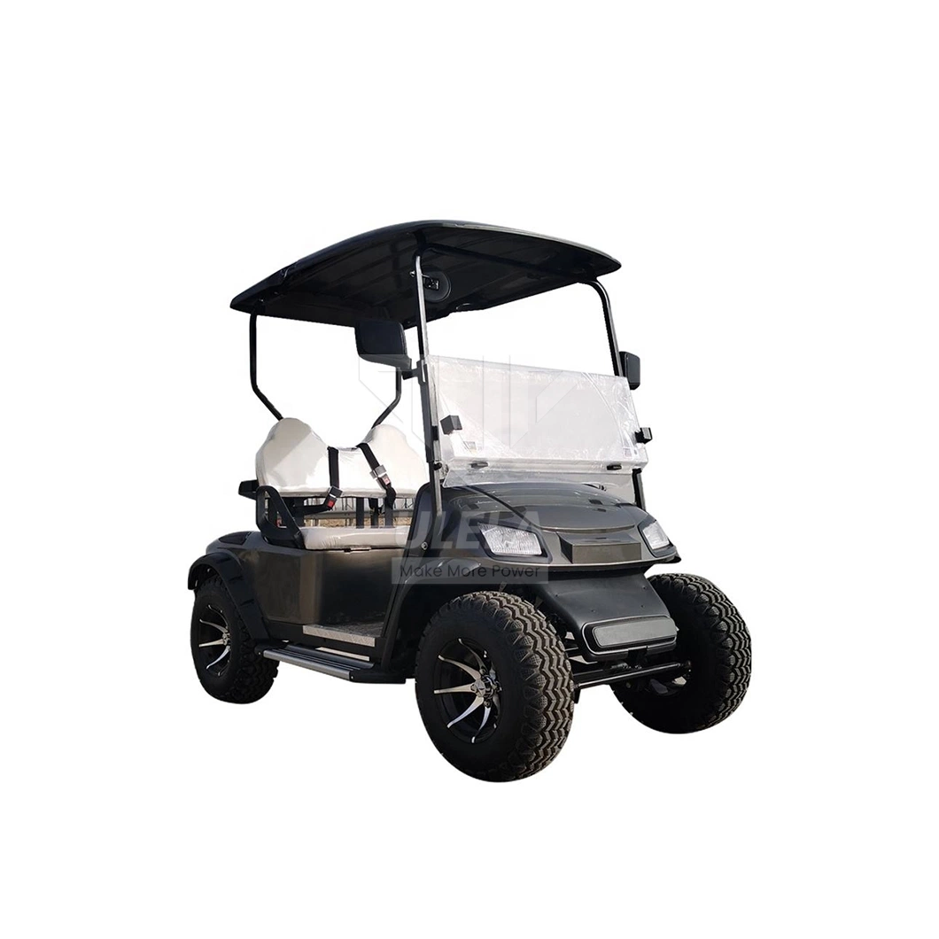 Ulela Epic Golf Cart Dealers Steel Frame Golf Carts Green 2 Seater China 2 Seater Battery Operated Golf Carts