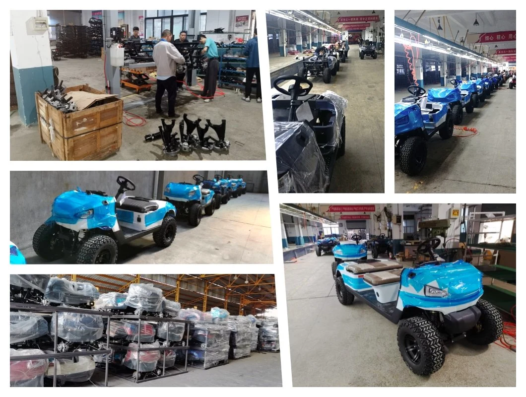 6 Persons High Speed Lithium Battery Electric Lifted Offroad Golf Cart