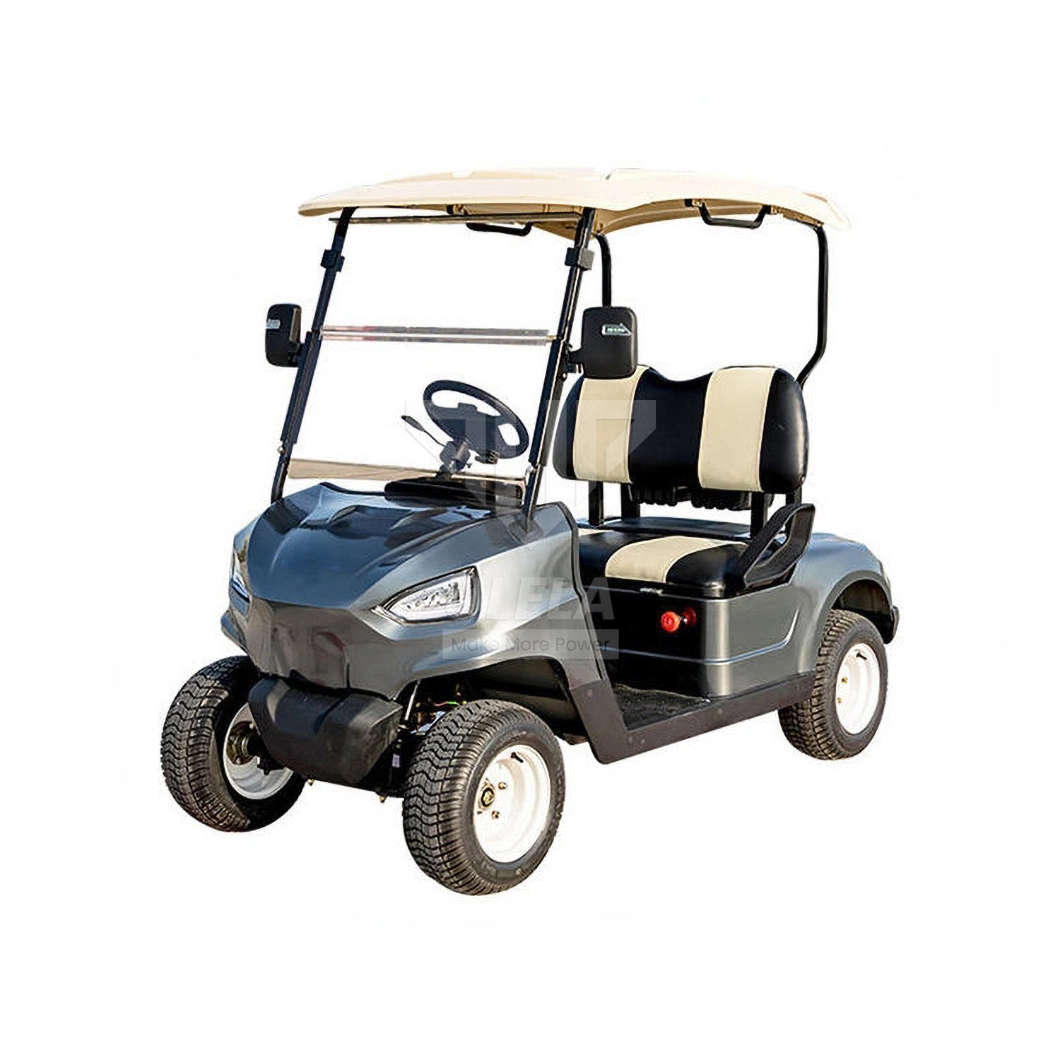 Ulela Epic Golf Cart Dealers Steel Frame Golf Carts Green 2 Seater China 2 Seater Battery Operated Golf Carts